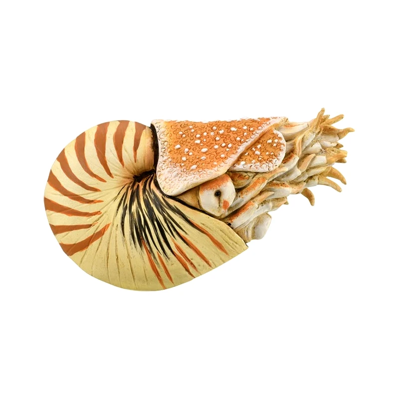 Collecta Collecta Ναυτιλος Πομπιλιος (88907)