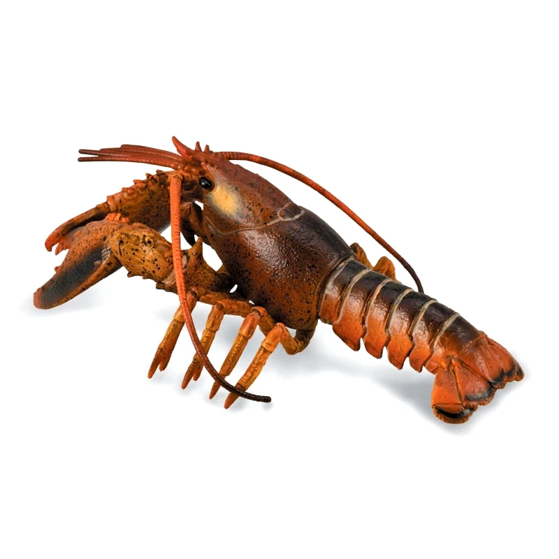 Collecta CollectA Αστακός (PR-88920)