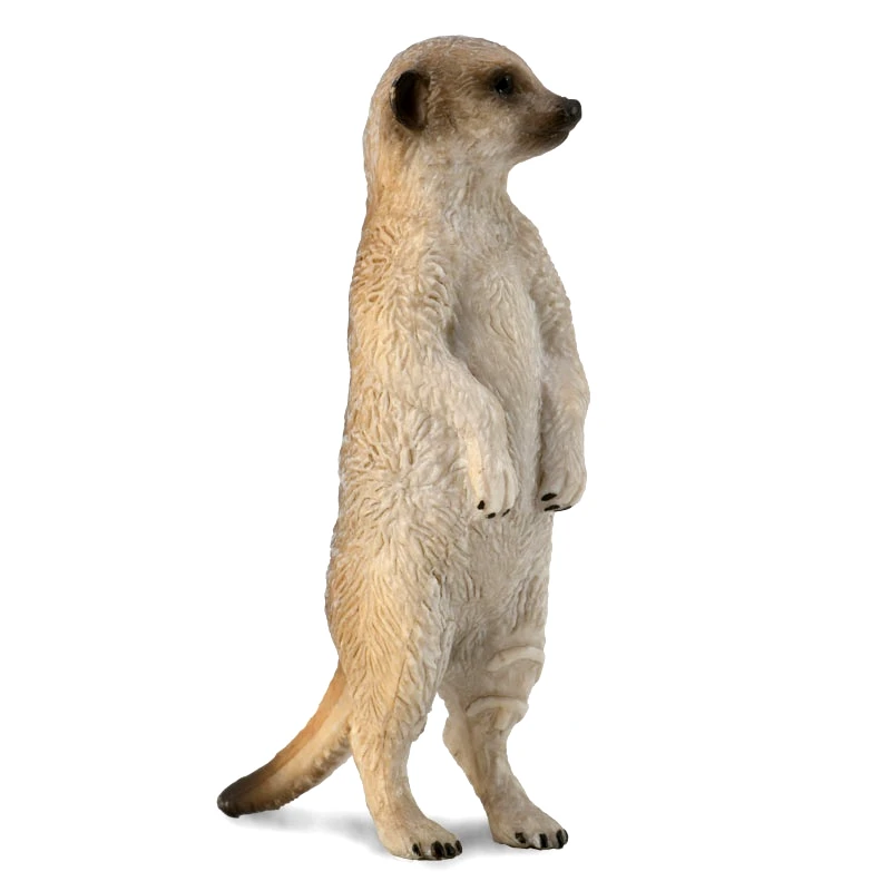 Collecta Collecta Σουρικάτα (88913)