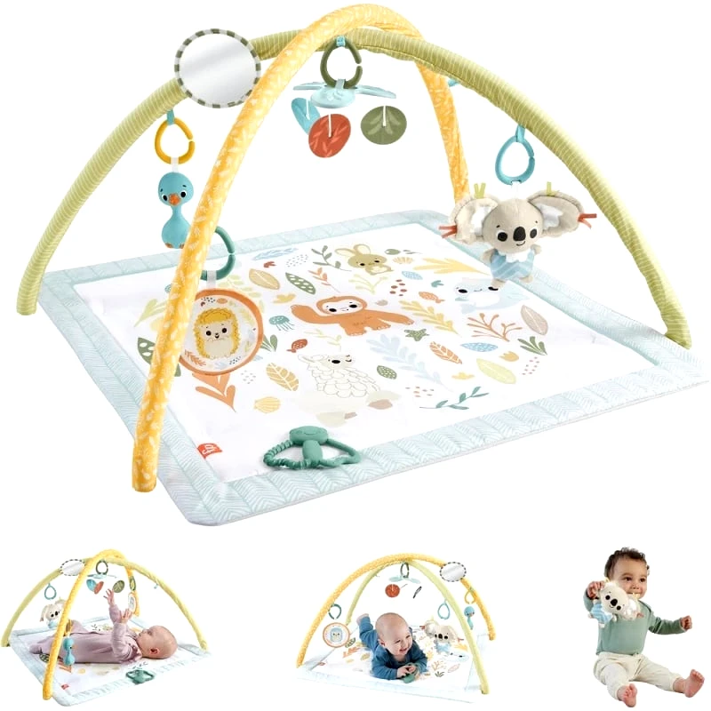 Fisher Price Fisher Price Simply Senses Γυμναστήριο Οι Πρώτες Του Αισθήσεις (HRB15)