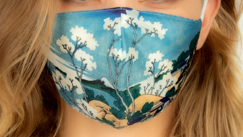 LOQI Προστατευτική Μάσκα | Katsushika Hokusai - Fuji from Gotenyama
