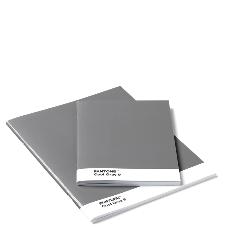PANTONE Pantone Σετ 2 Τετραδίων - Γκρι