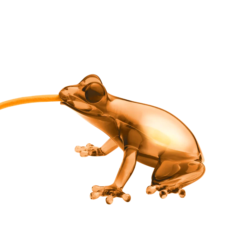QEEBOO Επιτραπέζιο Φωτιστικό Hungry Frog - Κεχριμπάρι