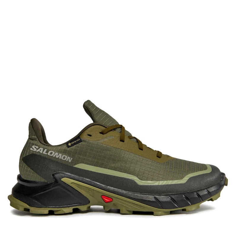 Salomon Παπούτσια για Τρέξιμο Salomon Alphacross 5 Gtx GORE-TEX 473103 29 W0 Πράσινο
