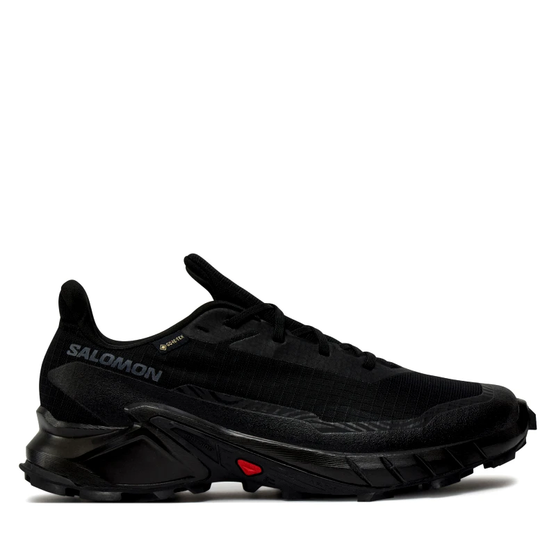 Salomon Παπούτσια για Τρέξιμο Salomon Alphacross 5 Gore-Tex L47307500 Μαύρο