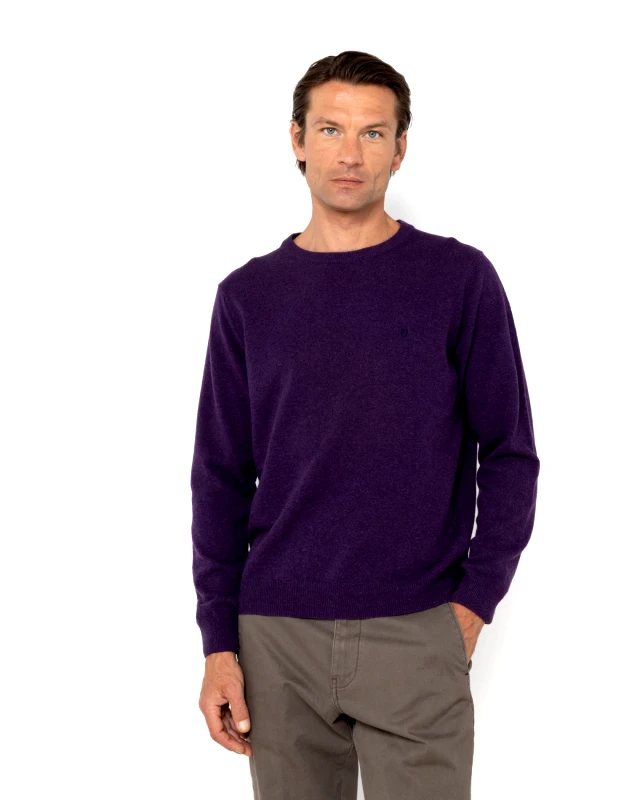 The Bostonians The Bostonians Ανδρικό Πλεκτό Λαιμόκοψη 3MR00012|B168PU Μωβ