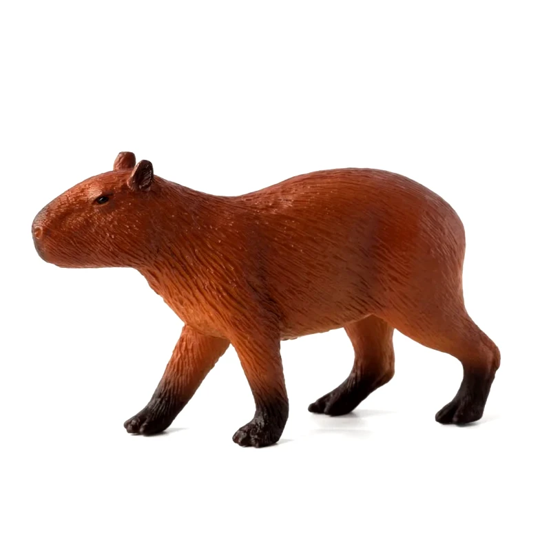 ANIMAL PLANET ANIMAL PLANET-ΚΑΠΙΜΠΑΡΑ-MEDIUM