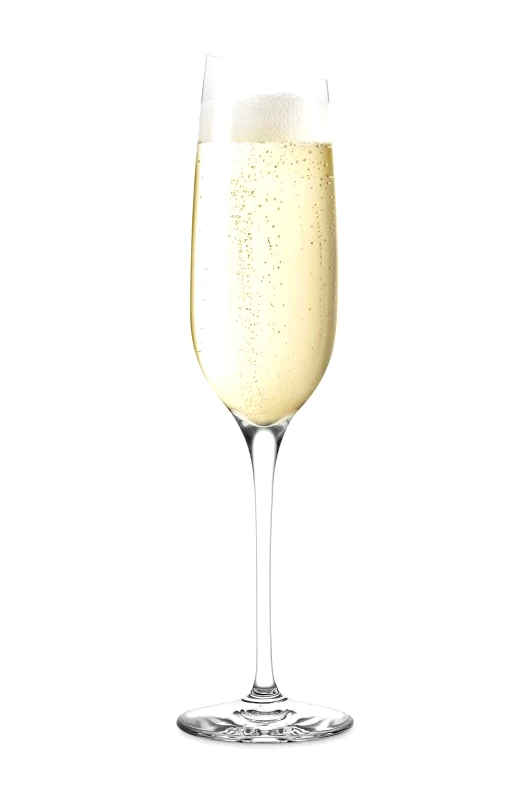 Eva Solo Ποτήρι σαμπάνιας Eva Solo Champagne