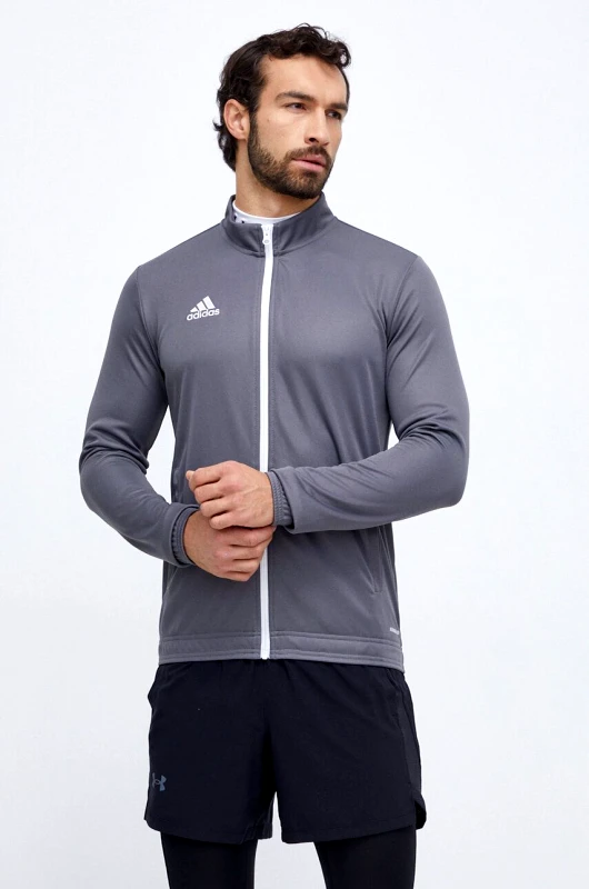 adidas Performance Φούτερ προπόνησης adidas Performance Entrada 22 ZNE Entrada 22 χρώμα: γκρι IG2377 H57522