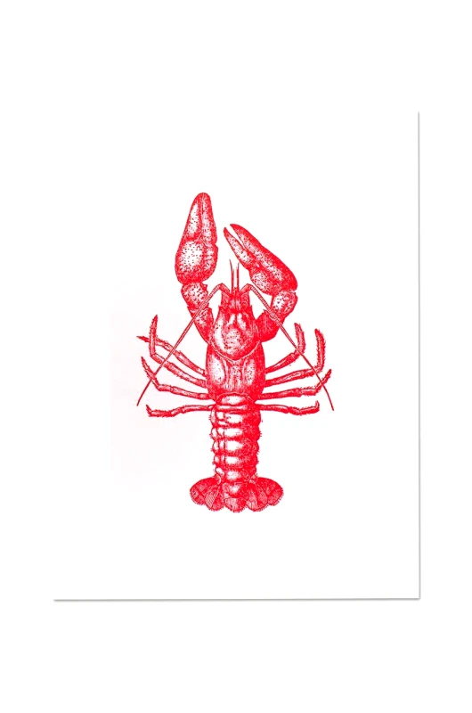 Donkey Διακοσμητικό τοίχου Donkey "Lobster"