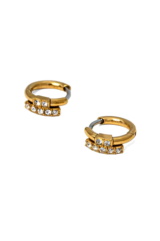 Trussardi Σκουλαρίκια Trussardi TJAXC87