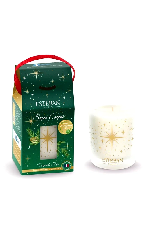 Esteban Αρωματικό κερί Esteban Exquisite Fir 180 g χρώμα: πολύχρωμο