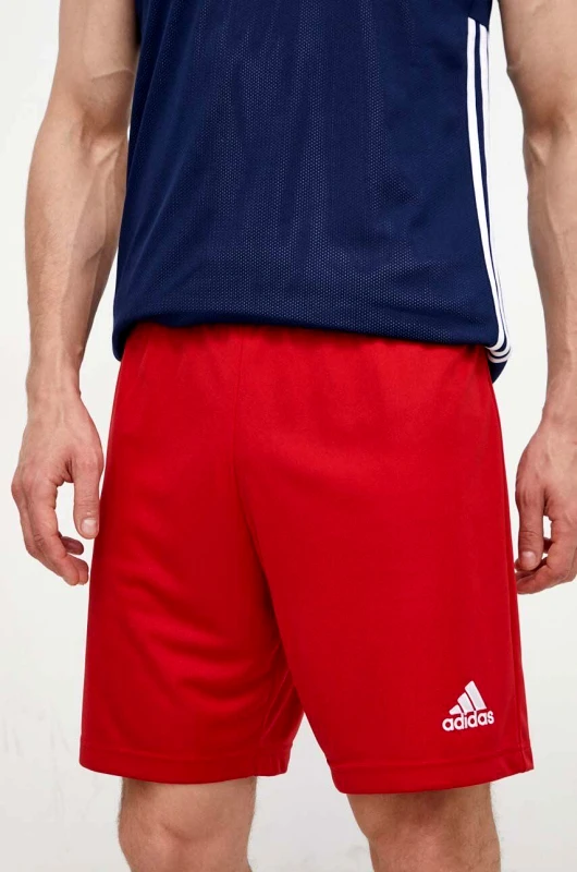adidas Performance Σορτς προπόνησης adidas Performance Entrada 22 Entrada 22 H61735 ανδρικό, χρώμα: κόκκινο IL3431 H61735