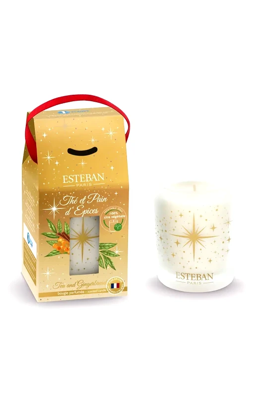 Esteban Αρωματικό κερί Esteban Tea and Gingerbread 180 g χρώμα: πολύχρωμο