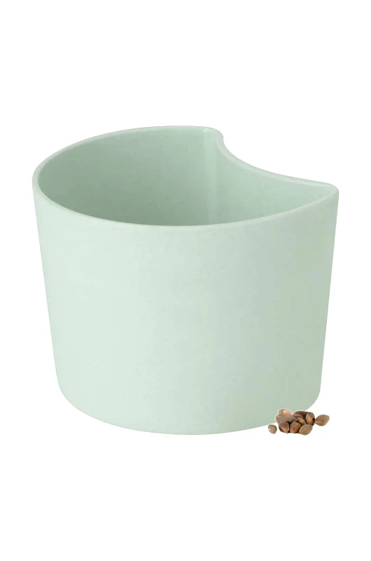 Rig-Tig Γλάστρα με σπόρους Rig-Tig Your Tree Birch