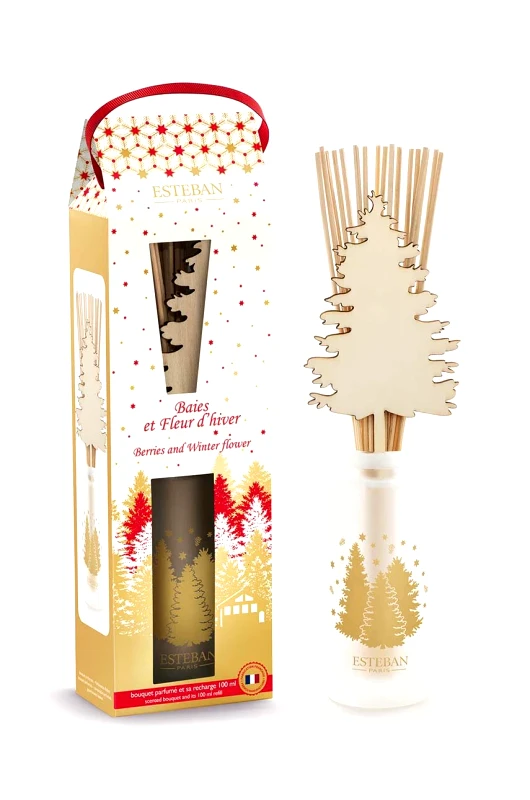 Esteban Διαχυτής αρώματος Esteban Berries and Winter Flower 100 ml