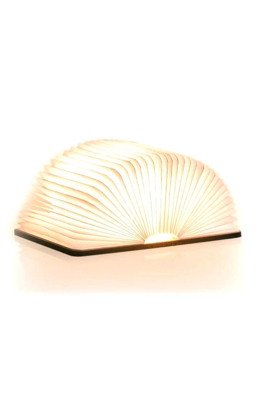 Gingko Design Λάμπα led Gingko Design Large Smart Boolight