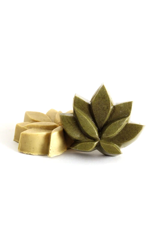 Graine Creative Graine Creative DIY σετ με κύβους σαμπουάν Solid Shampoos