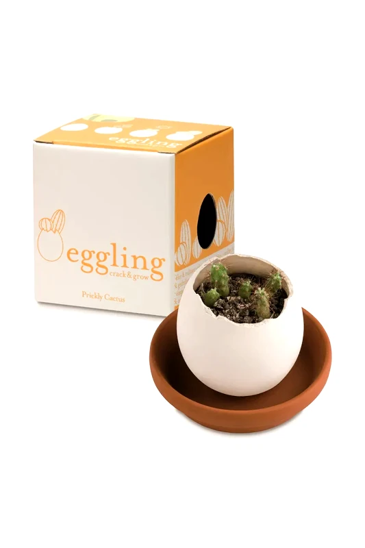 Noted Σετ για την καλλιέργεια ενός φυτού Noted Eggling Lavender de Provence χρώμα: άσπρο