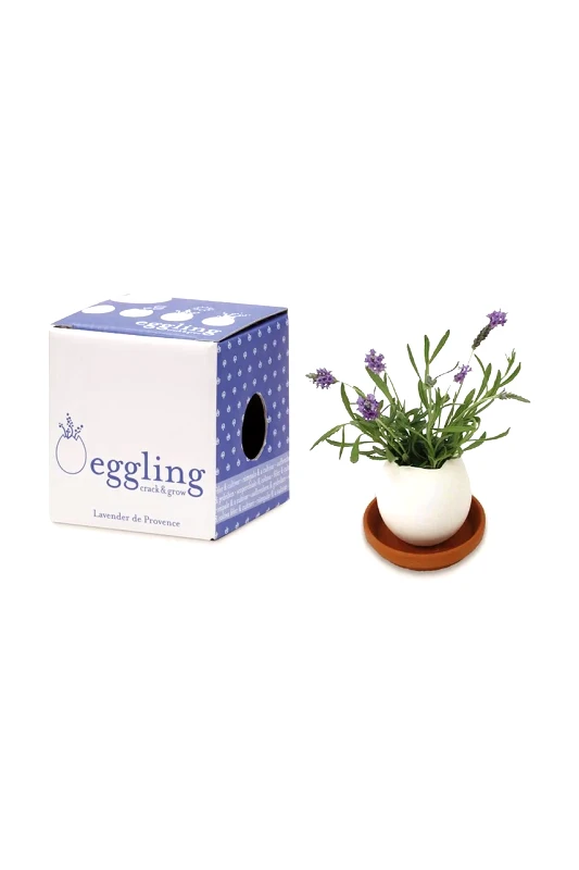 Noted Σετ για την καλλιέργεια ενός φυτού Noted Eggling Prickly Cactus χρώμα: άσπρο