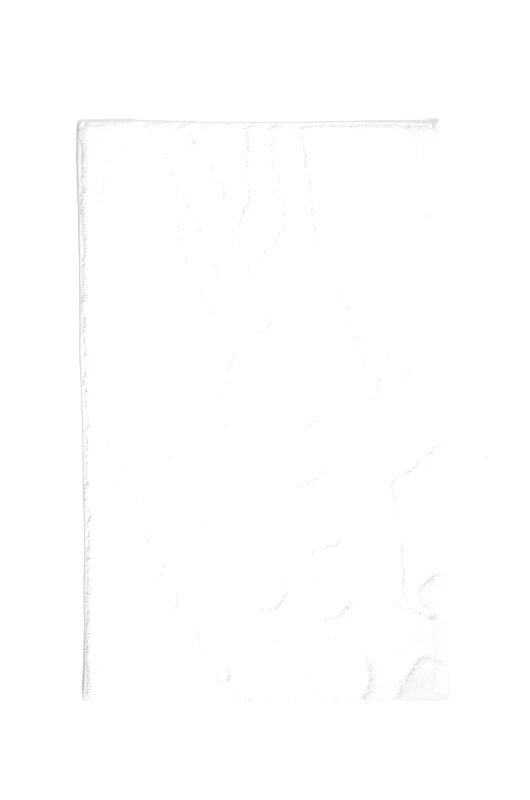 Lacoste Χαλί μπάνιου Lacoste L Heritage White 50 x 80 cm