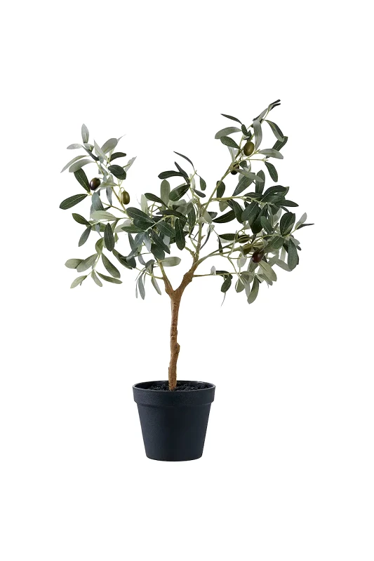 House Nordic Τεχνητό φυτό σε γλάστρα House Nordic Olive Tree