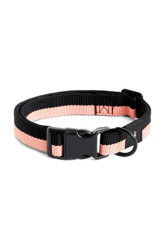 HAY Κολάρο για σκύλους HAY M/L 2,5 x 40-65 cm