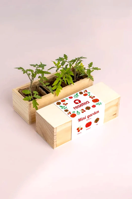 Resetea Σετ για την καλλιέργεια φυτών RESETEA Mini garden Tomatoes 21 x 7,8 x 6,5 cm