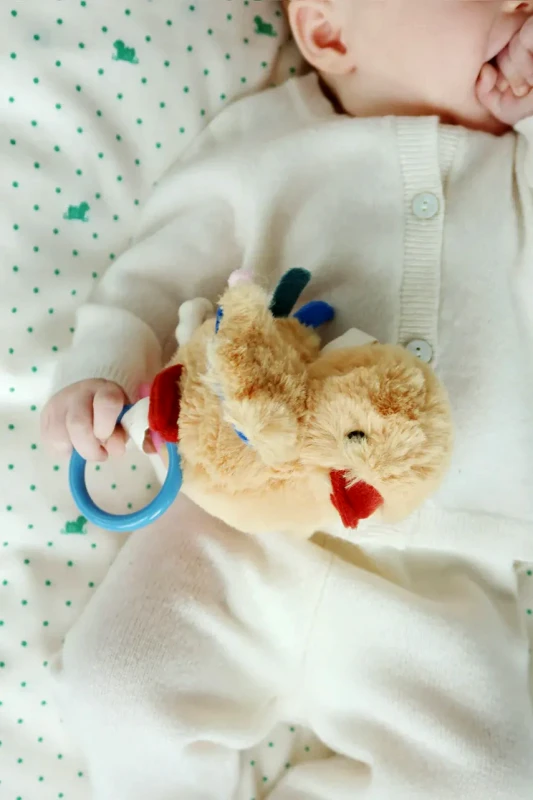 Fanga Fontana Βρεφική κουδουνίστρα Fanga Fontana PELUCHE MIO
