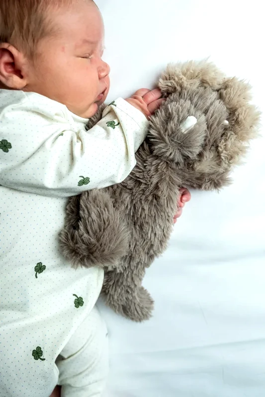 That's mine That's mine παιχνίδι αγκαλιάς βρεφικό Houston heavy teddy mini