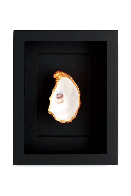 Maria el Mar Διακοσμητικό τοίχου σε κορνίζα Maria el Mar Single Oyster 22 x 17 cm
