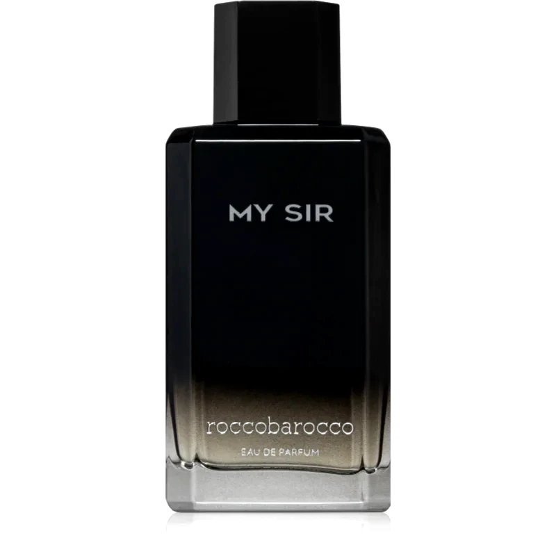 Roccobarocco Roccobarocco My Sir Eau de Parfum για άντρες 100 ml