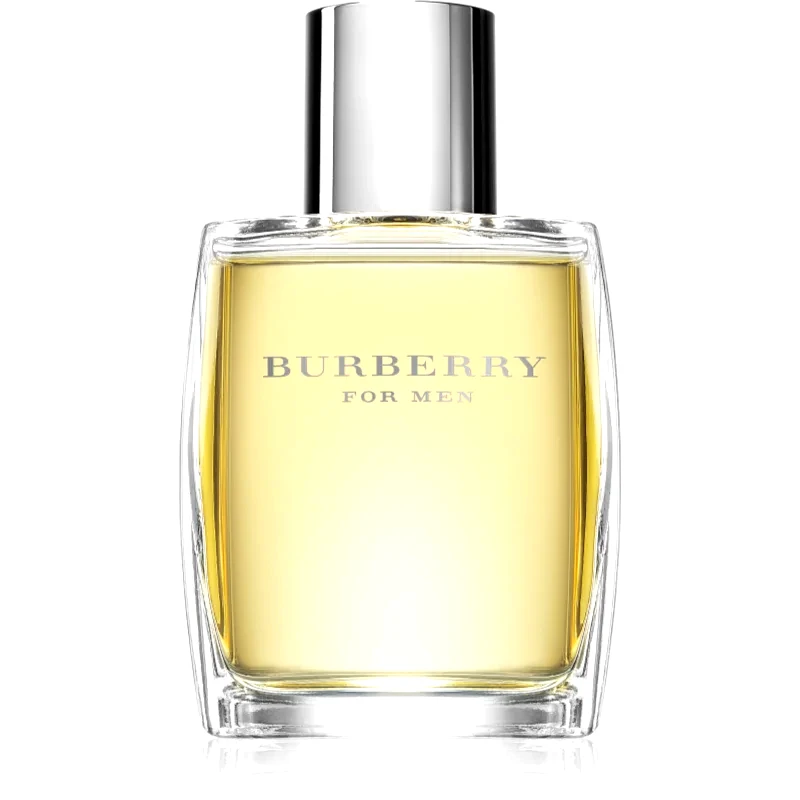 Burberry Burberry Burberry for Men Eau de Toilette για άντρες 50 ml