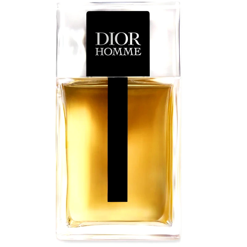 DIOR DIOR Dior Homme Eau de Toilette για άντρες 100 μλ