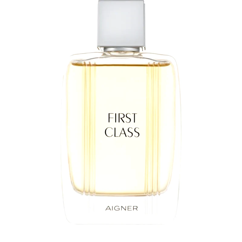 Etienne Aigner Etienne Aigner First Class Eau de Toilette για άντρες 100 μλ