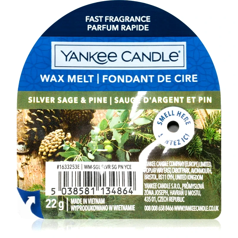 Yankee Candle Yankee Candle Silver Sage & Pine κερί για αρωματική λάμπα 22 γρ