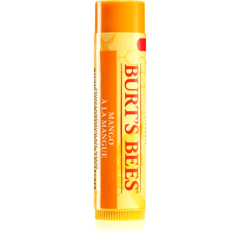 Burt’s Bees Burt’s Bees Lip Care θρεπτικό βάλσαμο για τα χείλη (with Mango Butter) 4,25 γρ