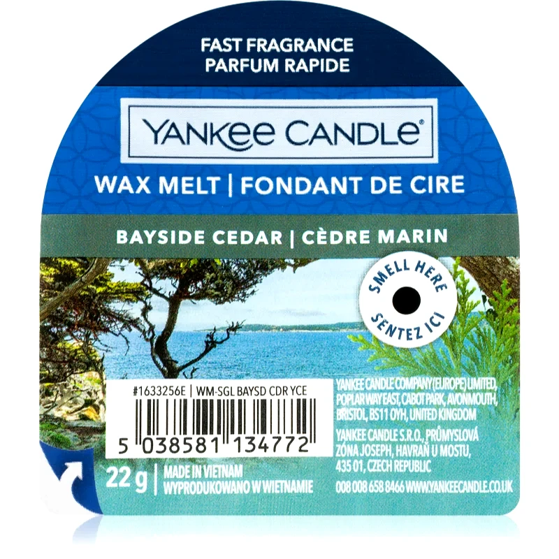 Yankee Candle Yankee Candle Bayside Cedar κερί για αρωματική λάμπα 22 γρ
