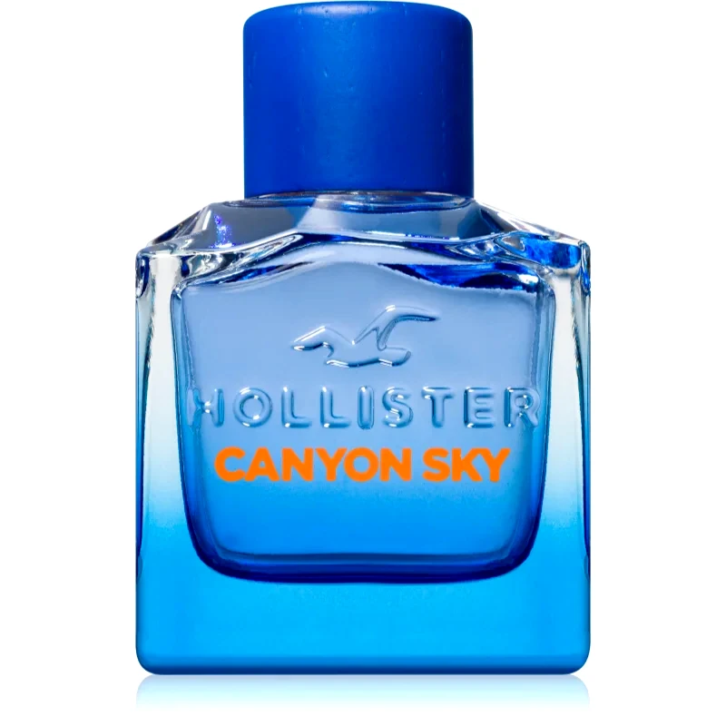 Hollister Hollister Canyon Sky For Him Eau de Toilette για άντρες 100 ml