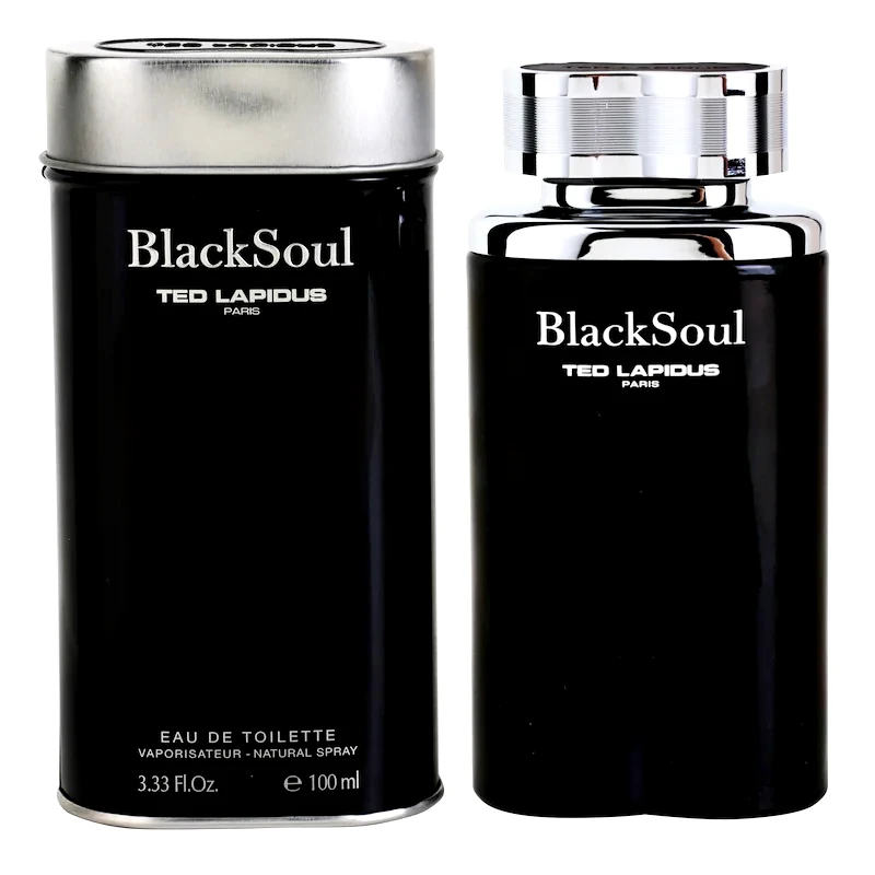Ted Lapidus Ted Lapidus Black Soul Eau de Toilette για άντρες 100 μλ