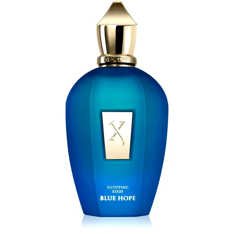 Xerjoff Xerjoff Blue Hope άρωμα unisex 100 ml