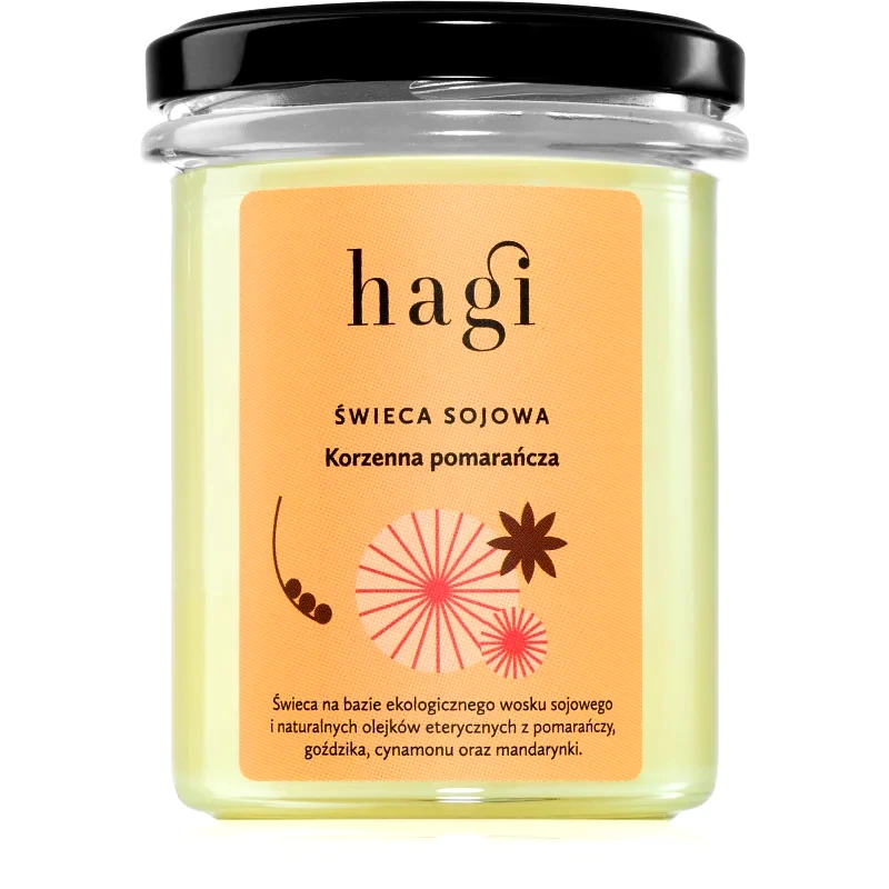 Hagi Hagi Spicy Orange αρωματικό κερί 215 γρ