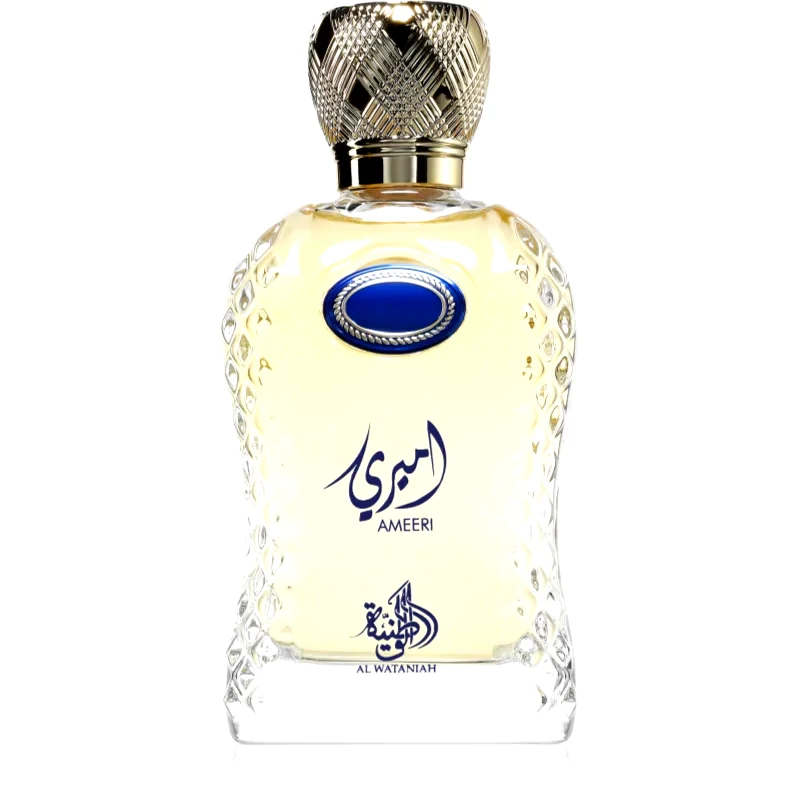 Al Wataniah Al Wataniah Ameeri Eau de Parfum για άντρες 100 ml