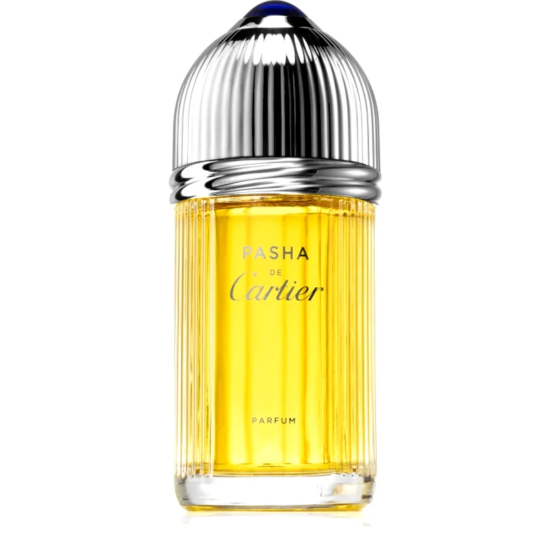 Cartier Cartier Pasha de Cartier άρωμα για άντρες 100 ml