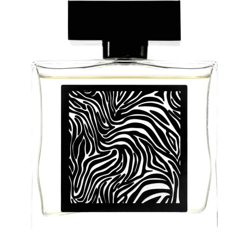 Fragrance World Fragrance World Encrypt Eau de Parfum για άντρες 85 ml