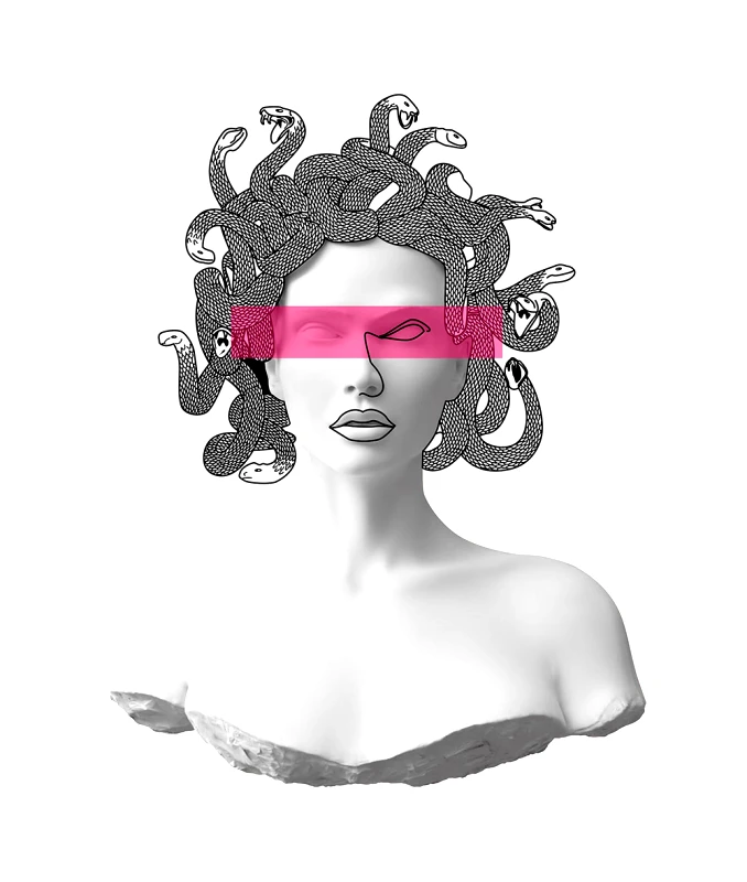 See What Eye See Medusa Fuchsia Plaid Poster