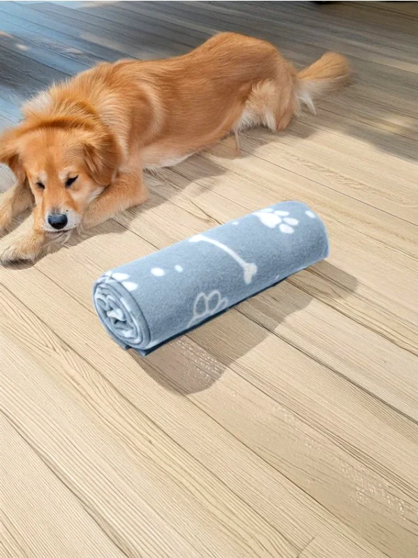 Sinsay Sinsay - Κουβέρτα για κατοικίδια - μπλε παλ