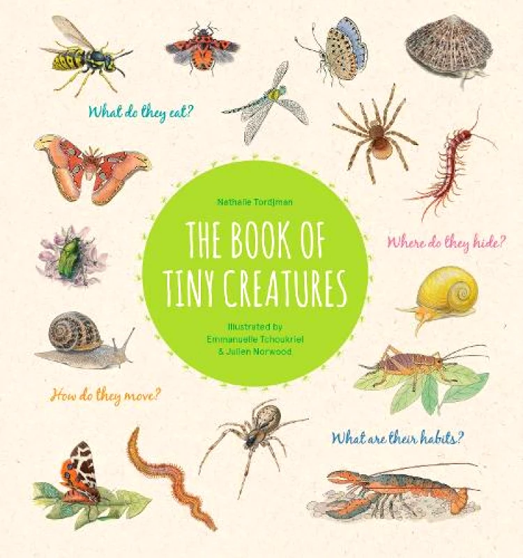 Princeton Architectural Press The Book of Tiny Creatures Nathalie Tordjman Princeton Architectural Press Hardback