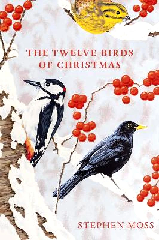 Square Peg The Twelve Birds of Christmas Stephen Moss Square Peg
