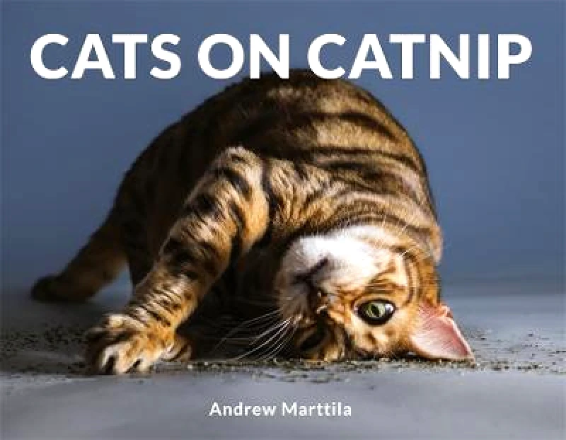 Robinson Cats on Catnip Andrew Marttila Robinson 2018 Hardback